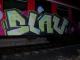 slaw