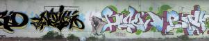 bird noik back biak